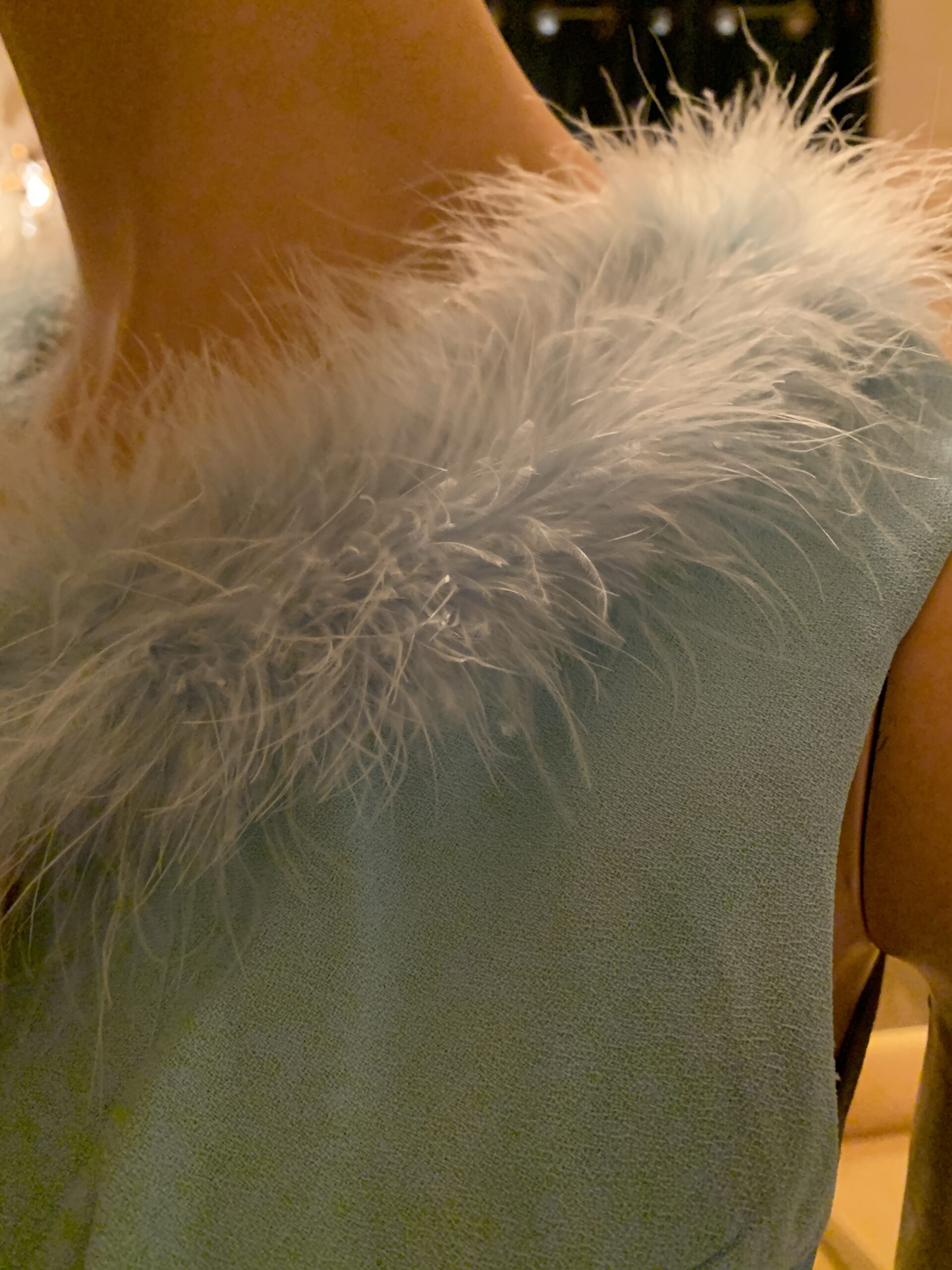 Close-up of the soft robin’s egg blue marabou feather trim along the neckline of a vintage 1960s cocktail dress.